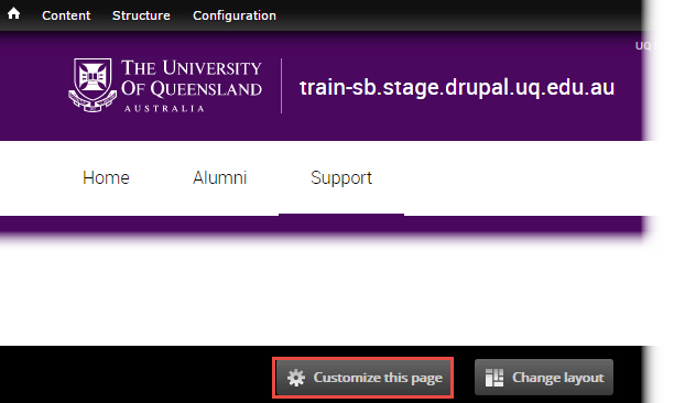 Customise this page option