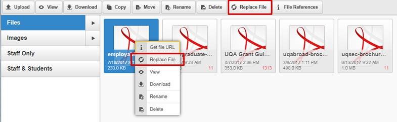 How to replace files in the file browser